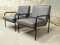 Armchairs by Pierre Guariche for Meurop, 1960s, Set of 2 1