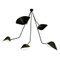 Modern Black Spider Ceiling Lamp with 5 Curved Fixed Arms by Serge Mouille 1