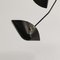 Modern Black Spider Ceiling Lamp with 5 Curved Fixed Arms by Serge Mouille 6