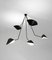 Lámpara de techo Spider moderna en negro con 5 brazos curvos fijos de Serge Mouille, Imagen 3