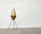 Lampada da terra tripode Cocoon Mid-Century minimalista di Artimeta, Olanda, anni '60, Immagine 36