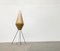 Mid-Century Dutch Cocoon Minimalist Tripod Floor Lamp from Artimeta, 1960s 36