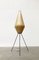 Minimalistische niederländische Mid-Century Cocoon Stehlampe von Artimeta, 1960er 35