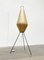 Lampada da terra tripode Cocoon Mid-Century minimalista di Artimeta, Olanda, anni '60, Immagine 38