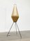 Mid-Century Dutch Cocoon Minimalist Tripod Floor Lamp from Artimeta, 1960s 38