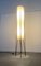 Minimalistische deutsche Mid-Century Stehlampe von Hesse Leuchten, 1960er 5