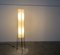 Lampada da terra Mid-Century minimalista di Hesse Leuchten, Germania, anni '60, Immagine 2