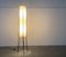 Lampada da terra Mid-Century minimalista di Hesse Leuchten, Germania, anni '60, Immagine 25