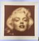 Yvaral (Jean-Pierre Vasarely) - Marilyn - Circa 1079 1970, Image 3