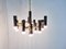 Lámpara de araña Mid-Century con 12 puntos de luz de Sciolari, Imagen 5