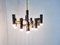 Mid-Century Chandelier with 12 Lightpoints from Sciolari, Image 5