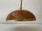 Italian Resin Shade with Leafs Pendant Lamp, 1970s 1