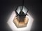 Satin Finished Glass Pendant Lamp from Peill & Putzler, Germany, 1970s 4