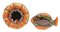 Piatti a forma di pesce e ostriche con glassa a goccia di Vallauris, set di 3, Imagen 12