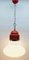 Lámpara de techo colgante vintage de vidrio opaco en forma de bombilla grande, años 60, Imagen 5