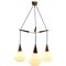 Mid-Century Belgian Teak with Frosted Optical Shade Tree Pendant Lights, Image 1