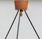 Mid-Century Belgian Teak with Frosted Optical Shade Tree Pendant Lights 10