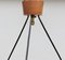 Mid-Century Belgian Teak with Frosted Optical Shade Tree Pendant Lights, Image 10