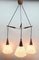 Mid-Century Belgian Teak with Frosted Optical Shade Tree Pendant Lights, Image 3