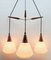 Mid-Century Belgian Teak with Frosted Optical Shade Tree Pendant Lights 2