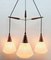 Mid-Century Belgian Teak with Frosted Optical Shade Tree Pendant Lights, Image 2