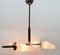 Asymmetrical Wall Light with Four Brass Rods Holding Clear Glass Shades, 1960s 3