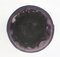 Vasi in cristallo di rocca viola scuro di Ingrid Glass, Germania, set di 2, Immagine 9