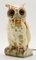 Porcelain Owl Air Purifier or Table Lamp, Germany, 1930s, Image 1