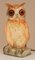 Porcelain Owl Air Purifier or Table Lamp, Germany, 1930s 9