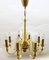 Bohemian Handcrafted Amber Murano Crystal Chandelier with 8 Arms, Image 14