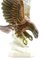 Porzellanfigur eines Raubvogels von Goebel, Deutschland 2