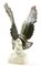 Figura de ave de rapiña de porcelana de Goebel, Germany, Imagen 8