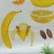 Tropical Subtropical Fruits Poster Rollable Wallchart, Image 4