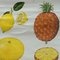 Tropical Subtropical Fruits Poster Rollable Wallchart 3