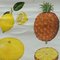 Tropical Subtropical Fruits Poster Rollable Wallchart, Image 3