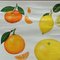 Tropical Subtropical Fruits Poster Rollable Wallchart 2