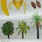 Tropical Subtropical Fruits Poster Rollable Wallchart 6
