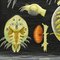 Póster de pared desplegable con estampado de animales de Entomostraca de Jung Koch Quentell, Imagen 4