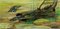 Affiche Murale d'Animaux enroulables avec Scène Sous-Marine d'Anguille 3