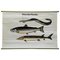 Migrating Fish Maritime Countrycore Decoration Animal Poster Wall Chart, Image 1