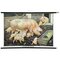 Pig Hog Swine Rat Country Style Rollable Wall Chart Animal Poster, Image 1