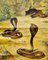 Scenery with Cobras Snake Poster Print Pull-Down Wall Chart 2
