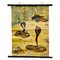 Scenery with Cobras Snake Poster Print Pull-Down Wall Chart 1