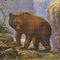 Stampa raffigurante animali dei Carpazi, orsi e uccelli rapaci, Immagine 2