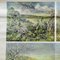 Vintage Cottage Core Africa Savanna Landscape Weather Seasons Rollable Wall Chart, Image 2