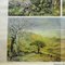 Vintage Cottage Core Africa Savanna Landscape Weather Seasons Rollable Wall Chart 4
