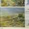 Stampa vintage raffigurante le stagioni della savana africana, Immagine 5