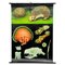 Vintage Hedgehog Rollable Wall Chart Poster Print by Jung Koch Quentell, Image 1