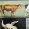 Vintage Deco Vieh Kuh Anatomie Kunstdruck Lehrtafel von Jung Koch Quentell 2