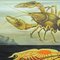 Vintage Deco Crayfish Maritime Poster Wandtafel von Jung Koch Quentell 2